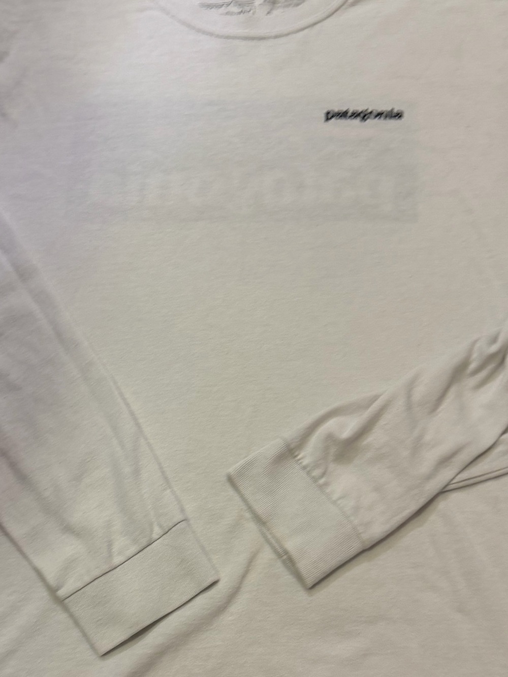 Patagonia White Long Sleeve Crew Tee with Chest Logo